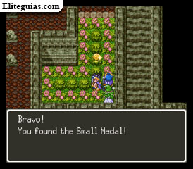 Small Medals