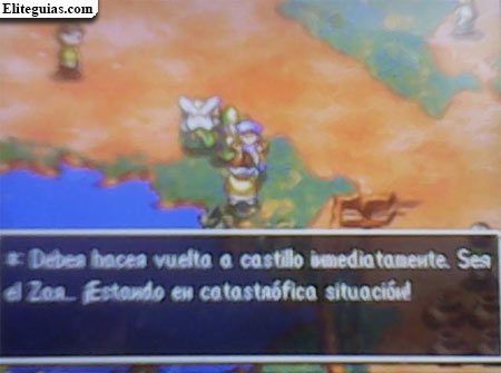 Bazar del desierto