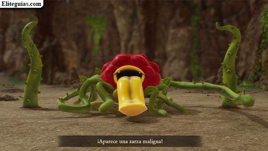 Zarza Maligna