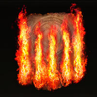 Arde, &iexcl;oh, llama!