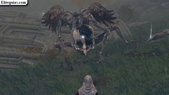 Ave de la muerte