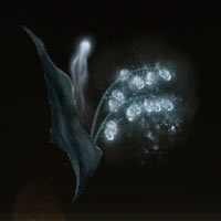 Convalaria espectral [2]