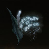 Convalaria espectral [3]