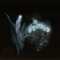 Convalaria espectral [4]