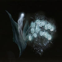 Convalaria espectral [5]