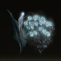 Convalaria espectral [6]