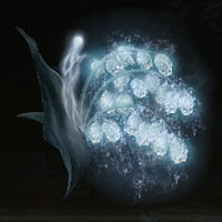 Convalaria espectral [9]