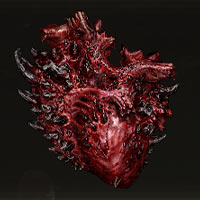 Coraz&oacute;n de Bayle
