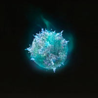 Esfera de Gowry