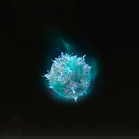 Esfera de Thops