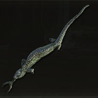 Espad&oacute;n de lagarto