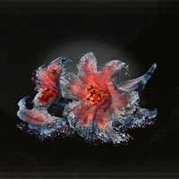 Flor de fuego