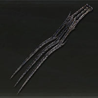 Garras de la noche
