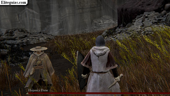Hojaseca Dane
