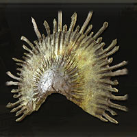 Máscara dorada rota
