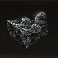 Piedra de espectro