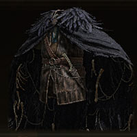 Plumas negras de ave rapaz
