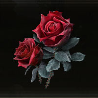 Rosa sangrienta