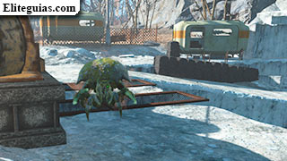 Mirelurk