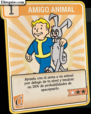 Amigo animal