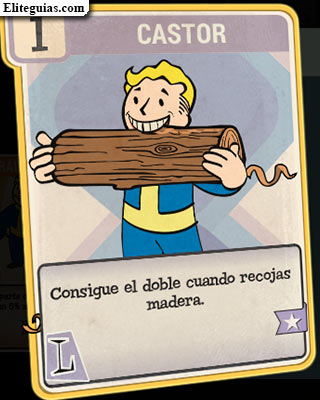 Castor