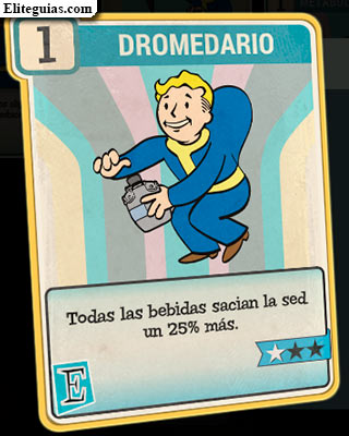 Dromedario