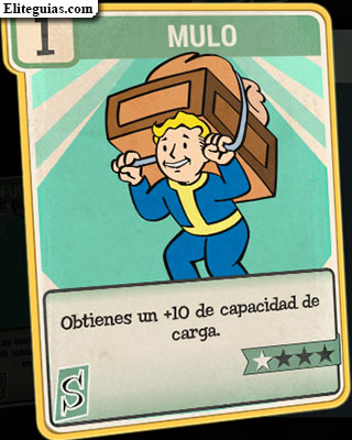 Mulo