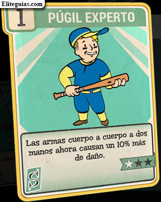 P&uacute;gil experto