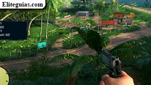 Los frutos de la jungla
