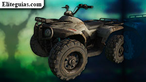 Quad