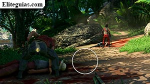 Servicio de rescate de guerreros