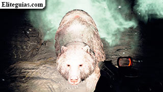 El juez oso