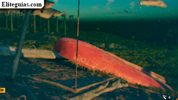 Una marea creciente