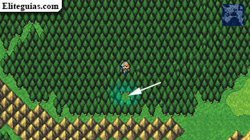 Bosque de los chocobos