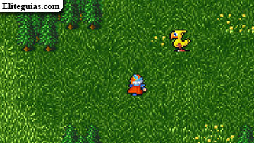 Bosque de los chocobos
