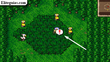 Bosque chocobo (Troia)