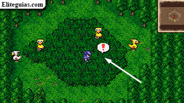 Bosque chocobo