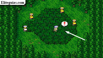 Bosque chocobo (Isla sureña)