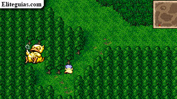 Pueblo de los chocobos