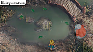 Quina y ranas
