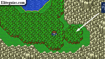 Bosque de los chocobos