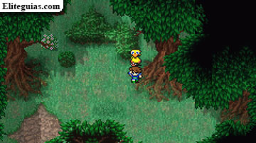 Bosque de los chocobos