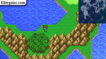 Bosque del chocobo negro
