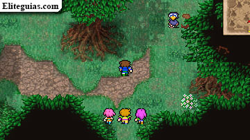 Bosque del chocobo negro