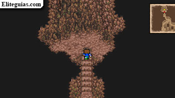Cueva de Jachol