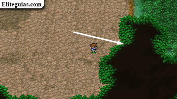 Meteorito de Tycoon