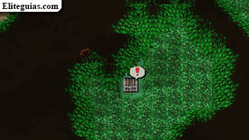Meteorito de Tycoon