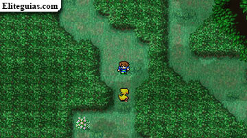 Meteorito de Tycoon