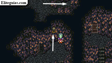 Cueva del Pastizal