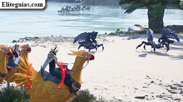 Cita en Costa del Sol